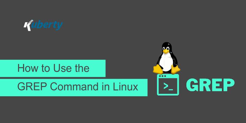 How to Use the GREP Command in Linux