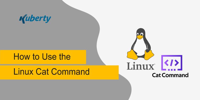 How to Use the Linux Cat Command